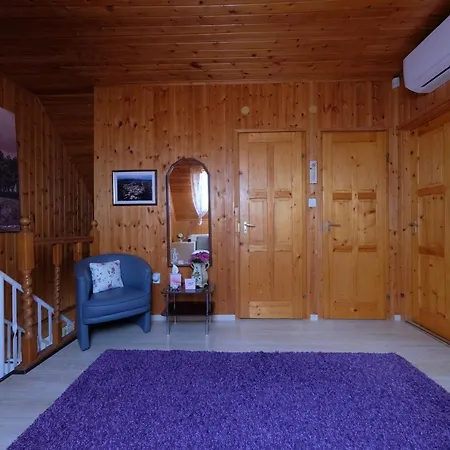 Panorama Nyaralo Holiday home *