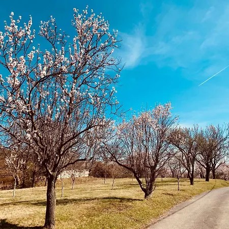 Panorama Nyaralo * Szentbekkalla
